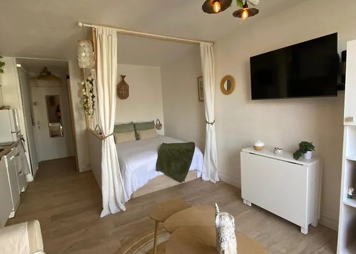 Apartamento Entièrement Rénové Avec Grande Terrasse Pour 4 Personnes - Cap D'agde Agde